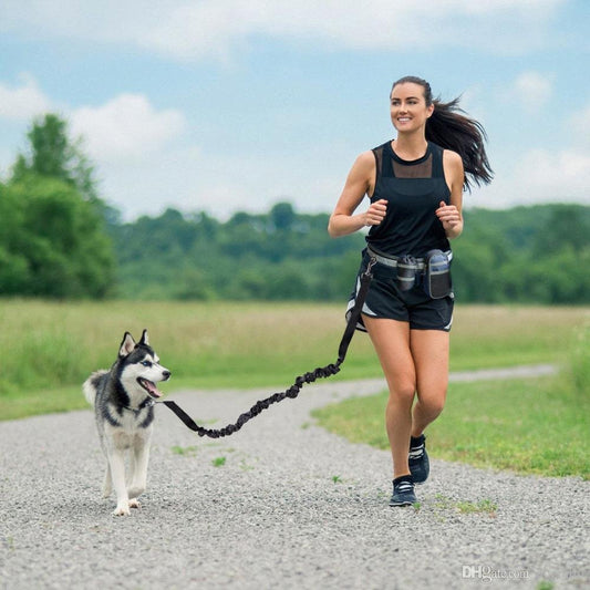 Reflective Dog Running Leash Hands Freely Jogging - Trandup